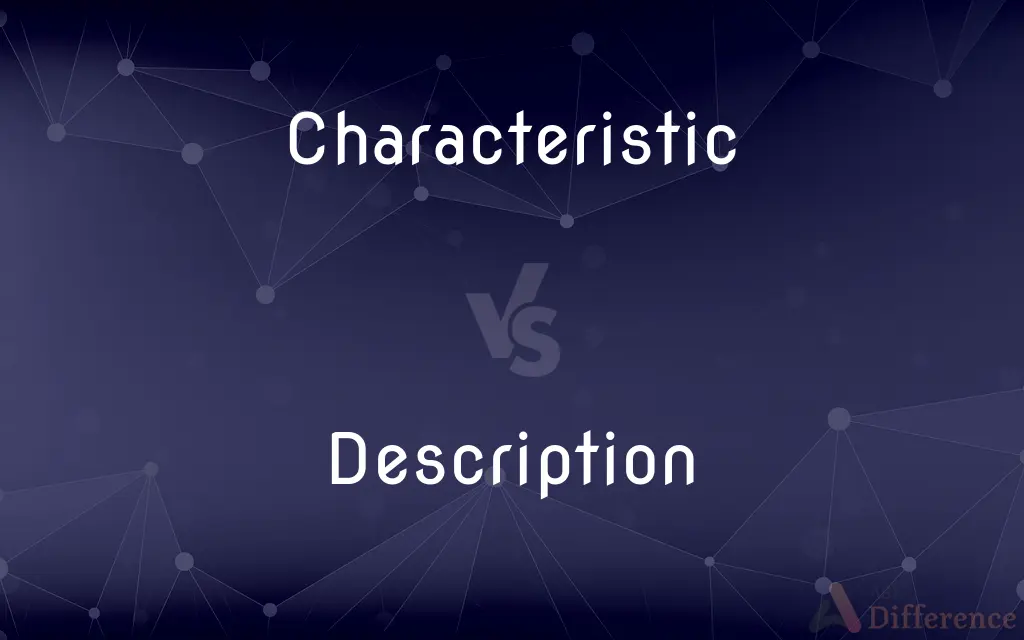Characteristic vs. Description — What's the Difference?