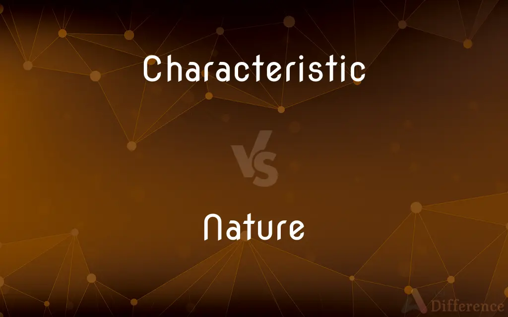 Characteristic vs. Nature — What's the Difference?