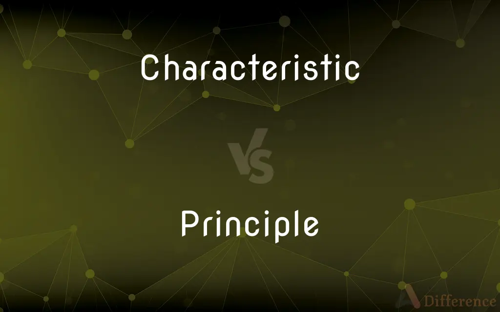 Characteristic vs. Principle — What's the Difference?