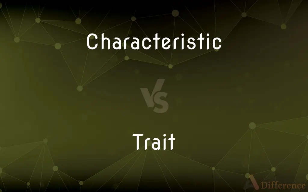 Characteristic vs. Trait — What's the Difference?