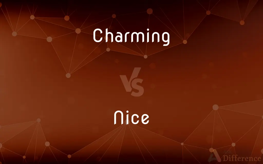 Charming vs. Nice — What's the Difference?