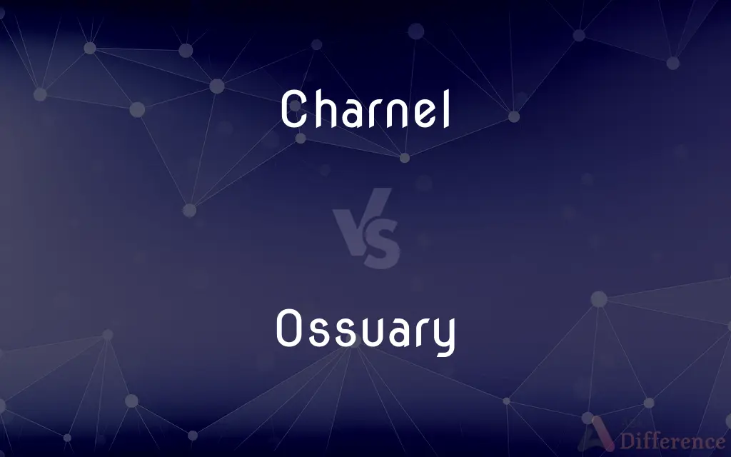 Charnel vs. Ossuary — What's the Difference?
