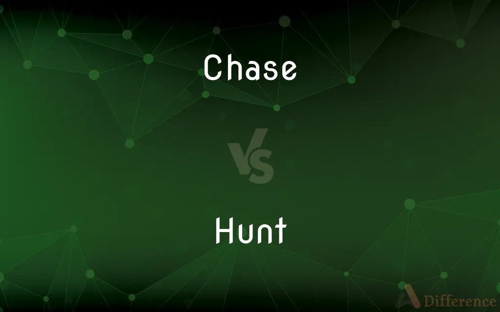 Chase vs. Hunt — What's the Difference?