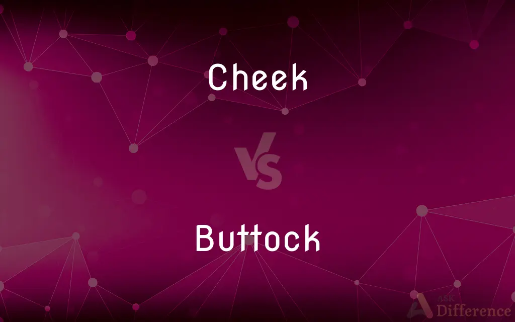 Cheek vs. Buttock — What's the Difference?