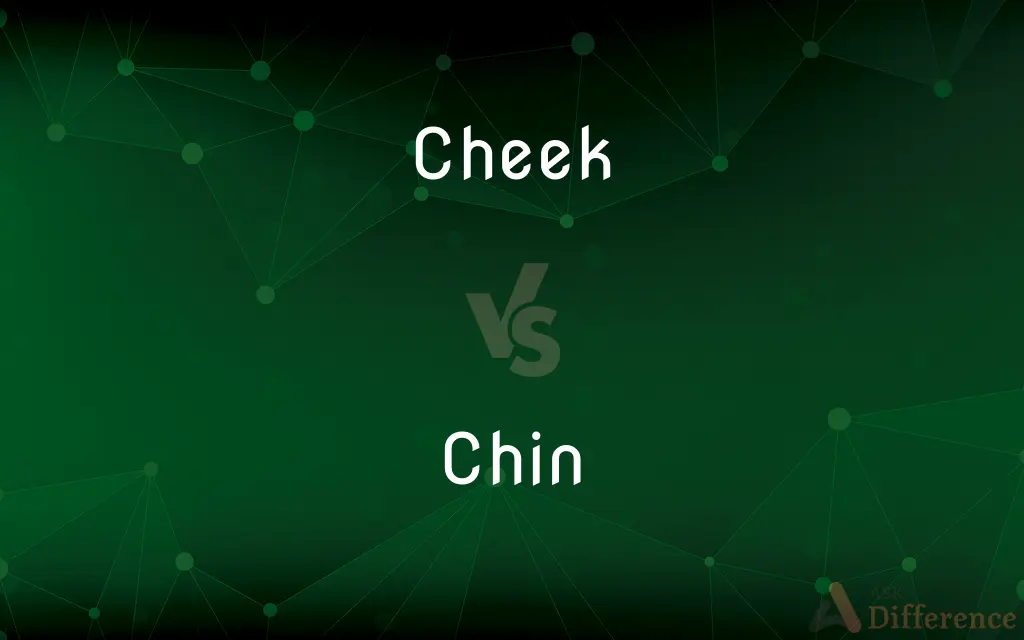 Cheek vs. Chin — What's the Difference?