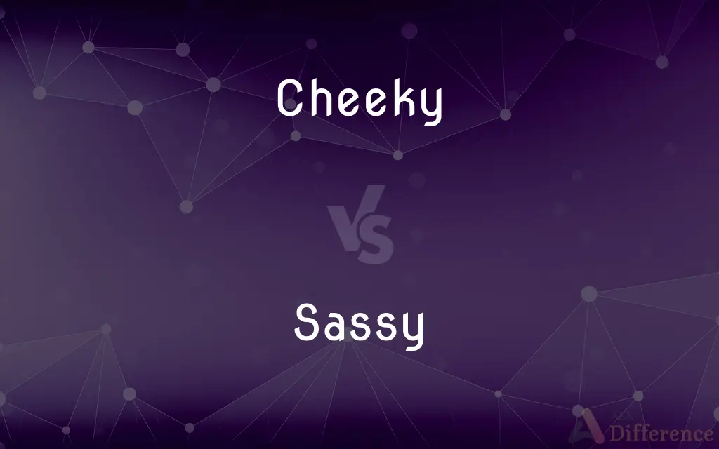 Cheeky vs. Sassy — What's the Difference?