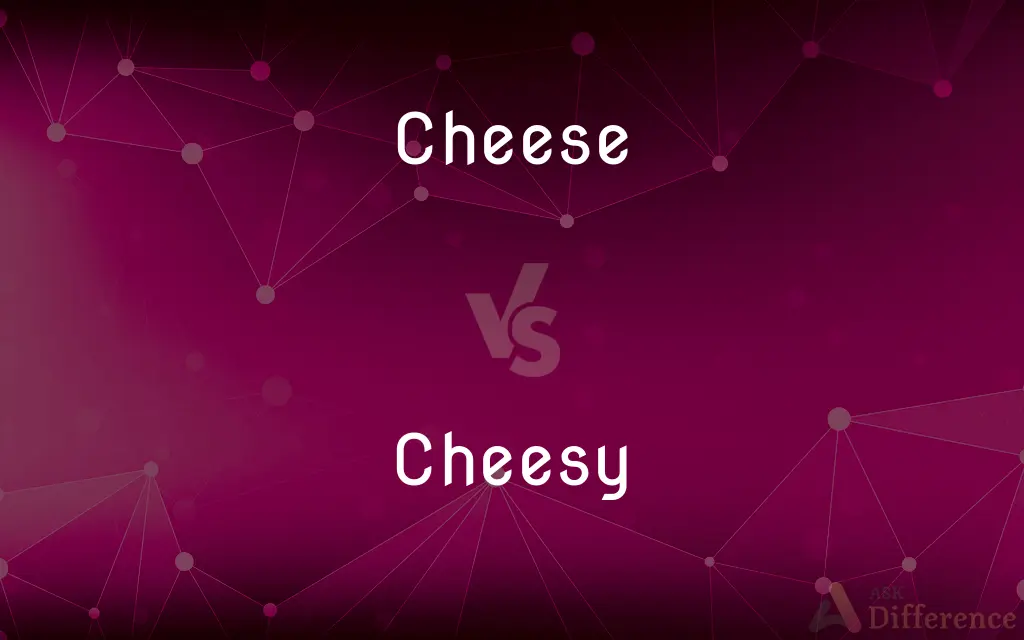Cheese vs. Cheesy — What's the Difference?
