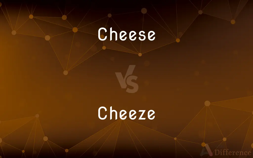 Cheese vs. Cheeze — Which is Correct Spelling?