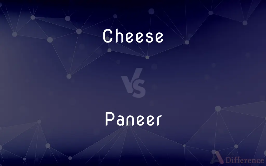 Cheese vs. Paneer — What's the Difference?