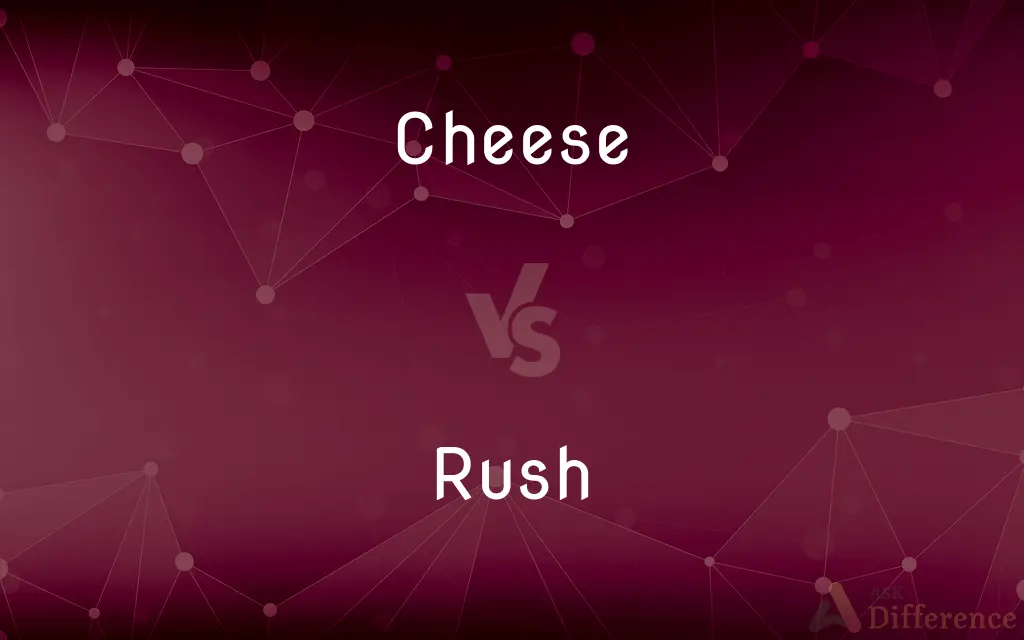 Cheese vs. Rush — What's the Difference?