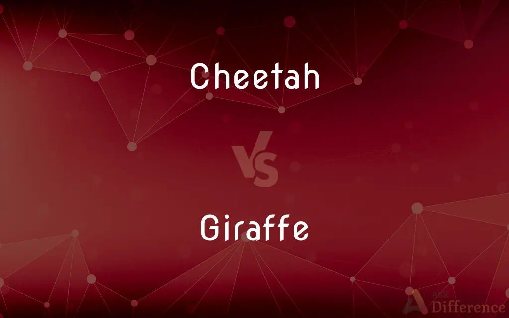 Cheetah vs. Giraffe — What's the Difference?