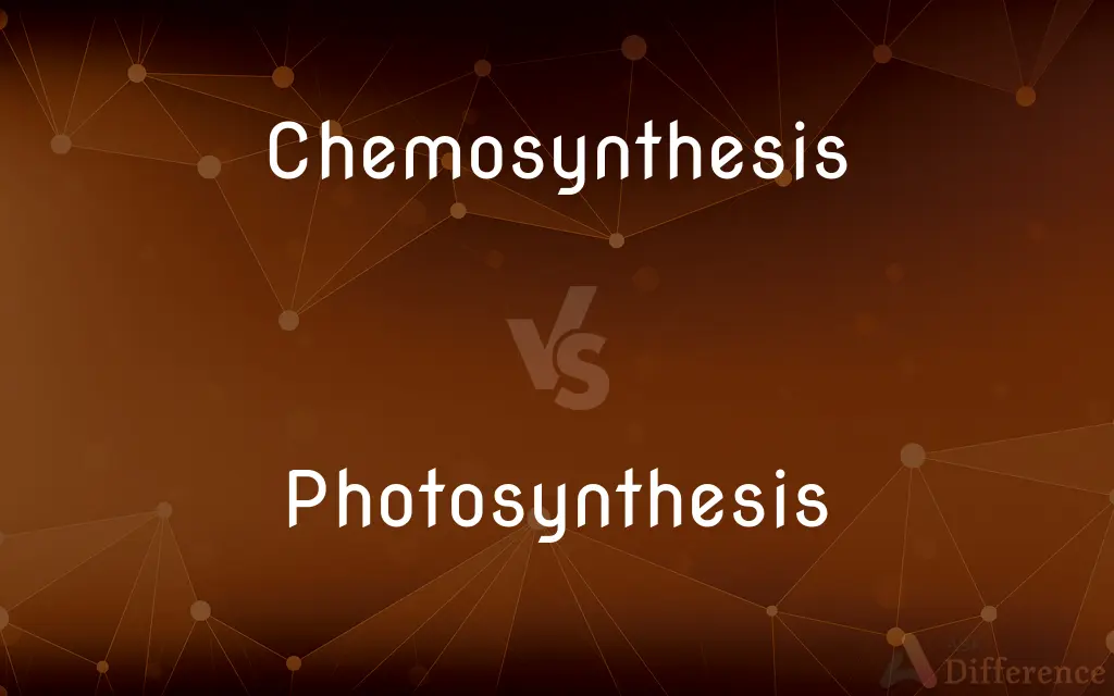 Chemosynthesis vs. Photosynthesis — What's the Difference?