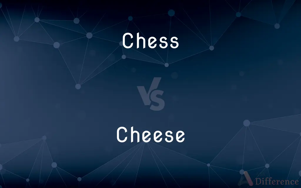 Chess vs. Cheese — What's the Difference?