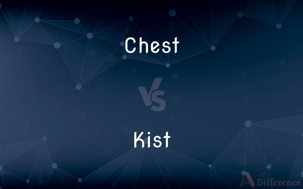 Chest vs. Kist — What's the Difference?