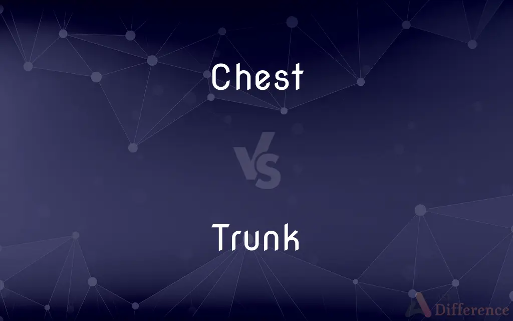 Chest vs. Trunk — What's the Difference?