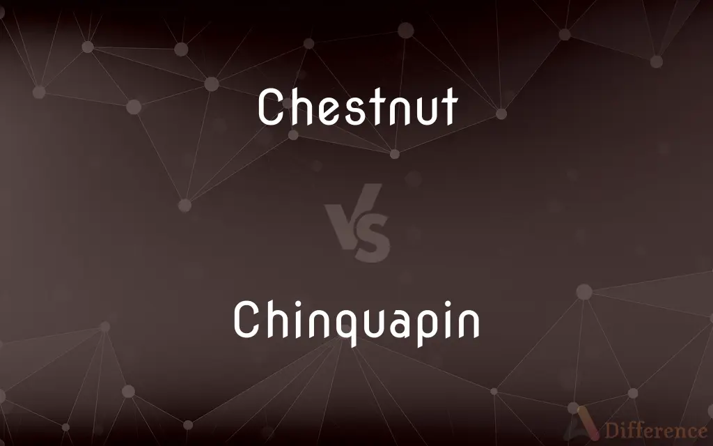 Chestnut vs. Chinquapin — What's the Difference?