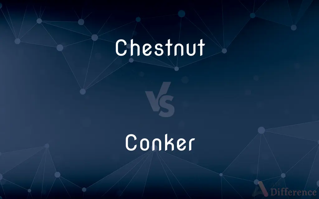 Chestnut vs. Conker — What's the Difference?