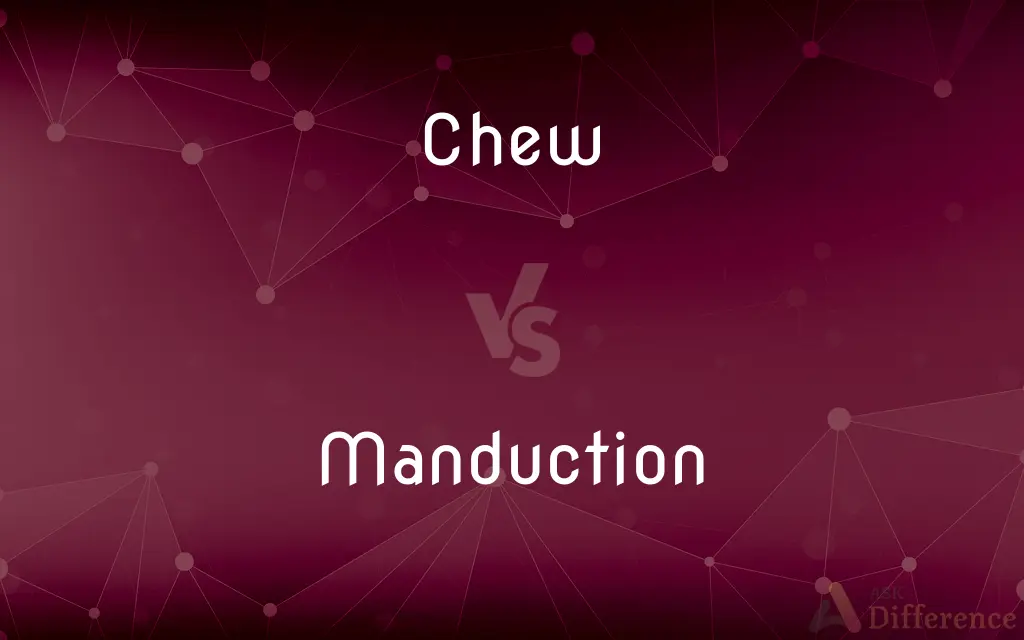 Chew vs. Manduction — What's the Difference?