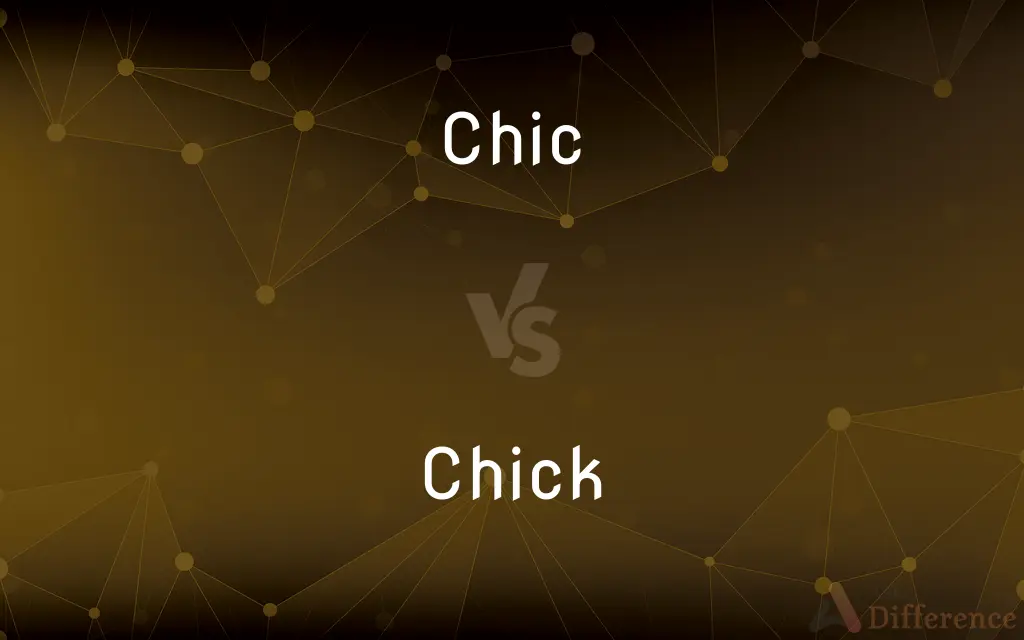 Chic vs. Chick — What's the Difference?