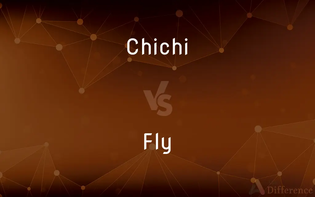 Chichi vs. Fly — What's the Difference?