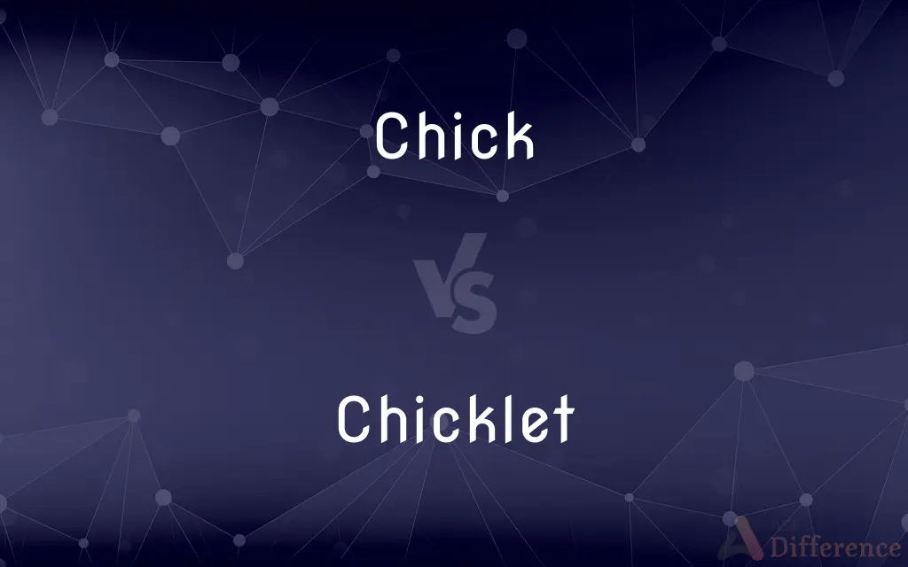Chick vs. Chicklet — What's the Difference?