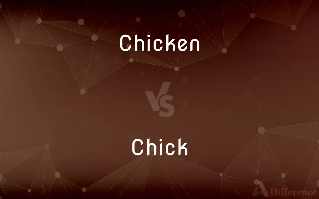 Chicken vs. Chick — What's the Difference?