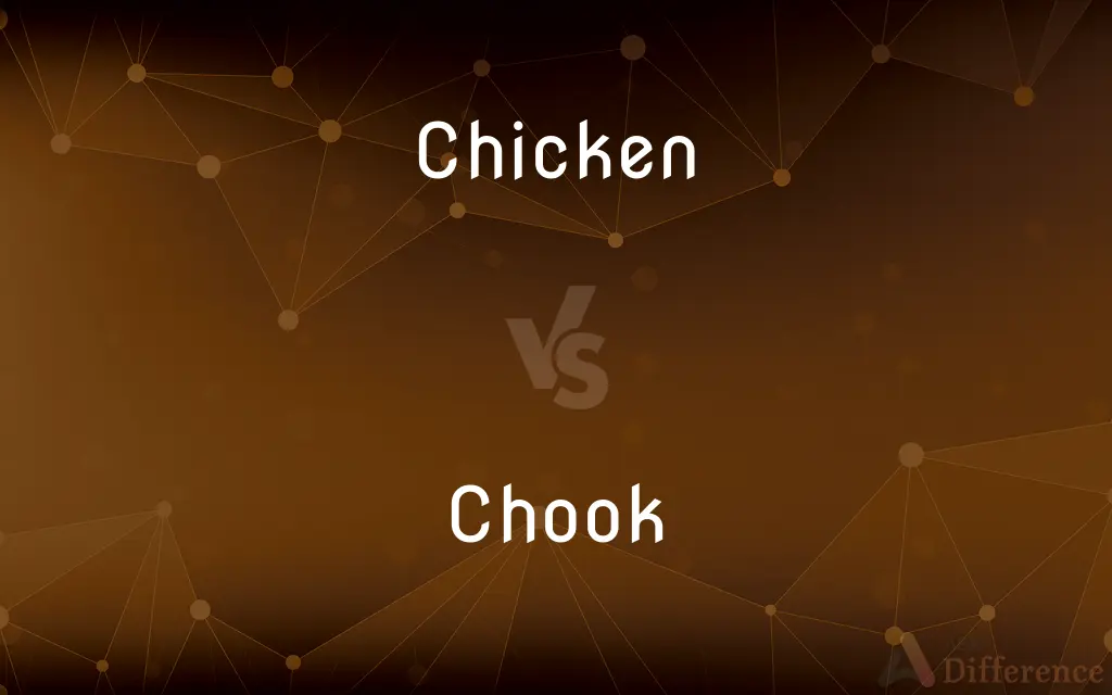 Chicken vs. Chook — What's the Difference?