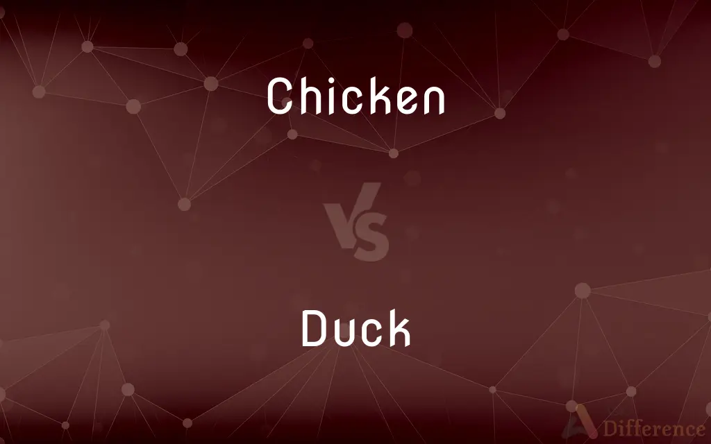 Chicken vs. Duck — What's the Difference?