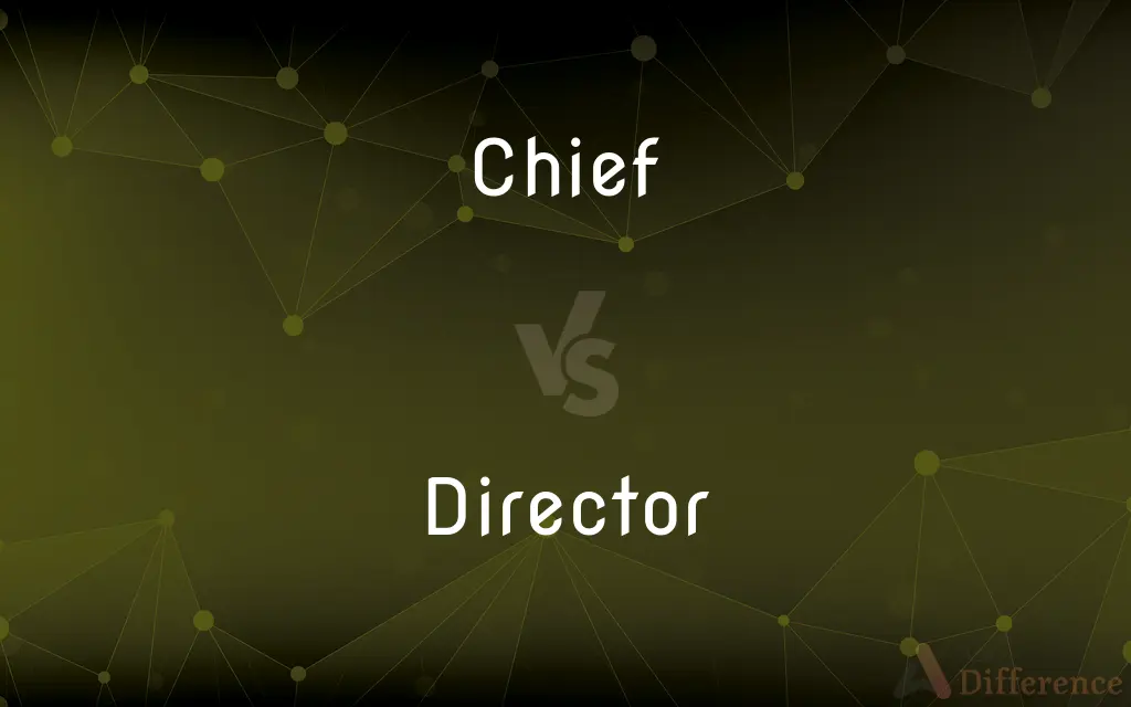Chief vs. Director — What's the Difference?