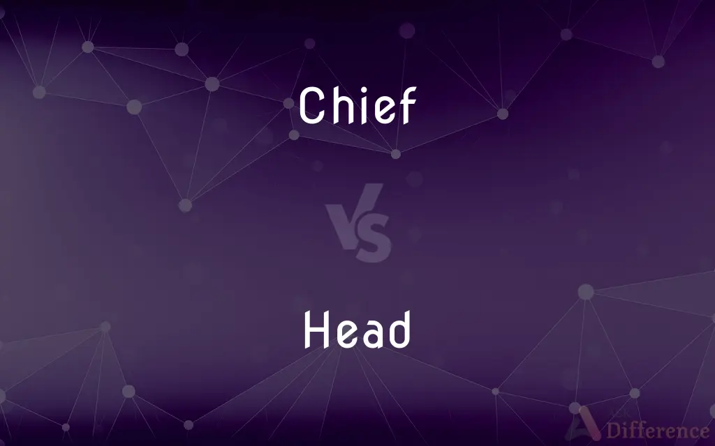 Chief vs. Head — What's the Difference?
