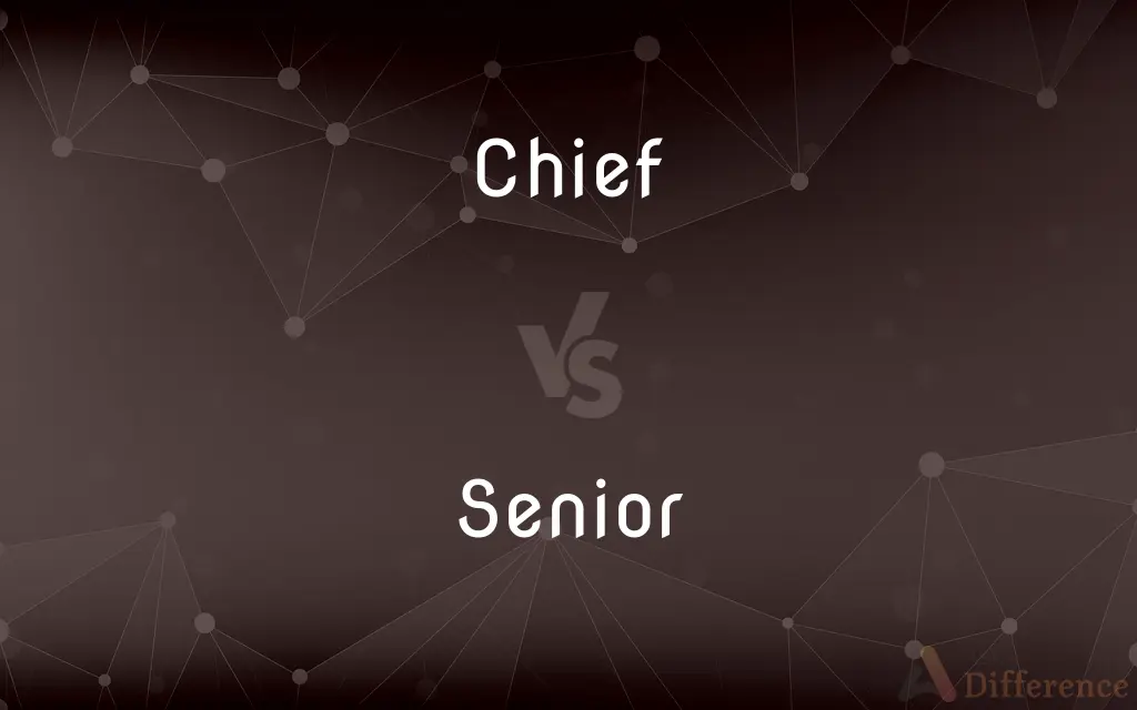 Chief vs. Senior — What's the Difference?