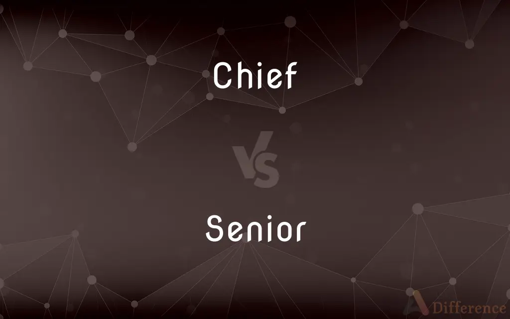 chief-vs-senior-what-s-the-difference