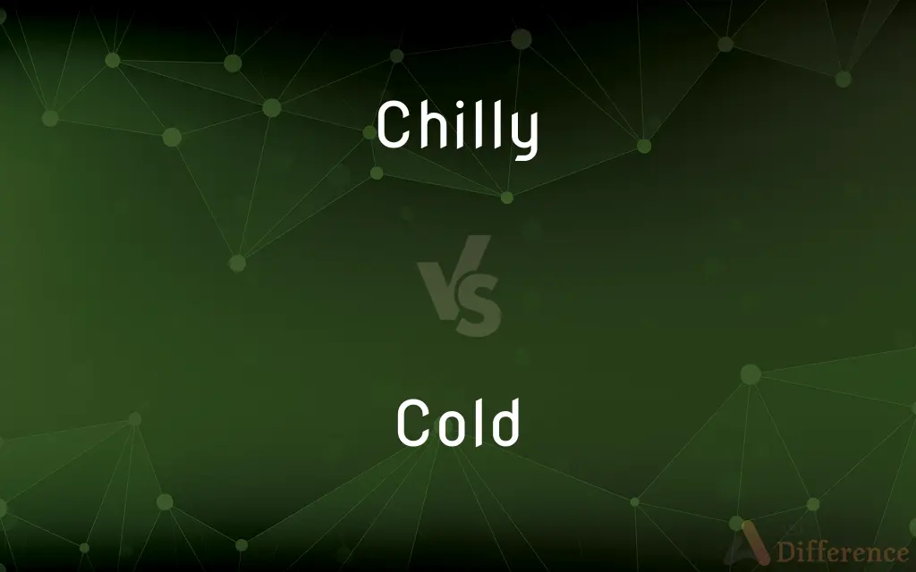 Chilly vs. Cold — What's the Difference?