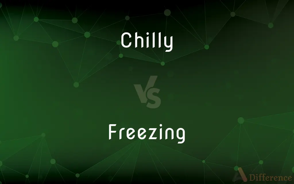 Chilly vs. Freezing — What's the Difference?