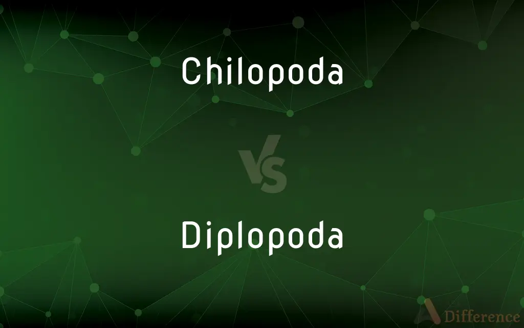 Chilopoda vs. Diplopoda — What's the Difference?