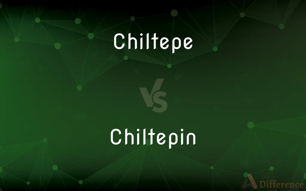 Chiltepe vs. Chiltepin — What's the Difference?