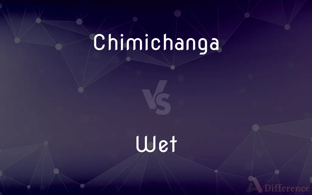 Chimichanga vs. Wet — What's the Difference?