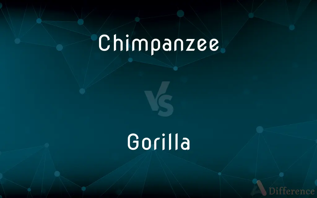 Chimpanzee vs. Gorilla — What's the Difference?