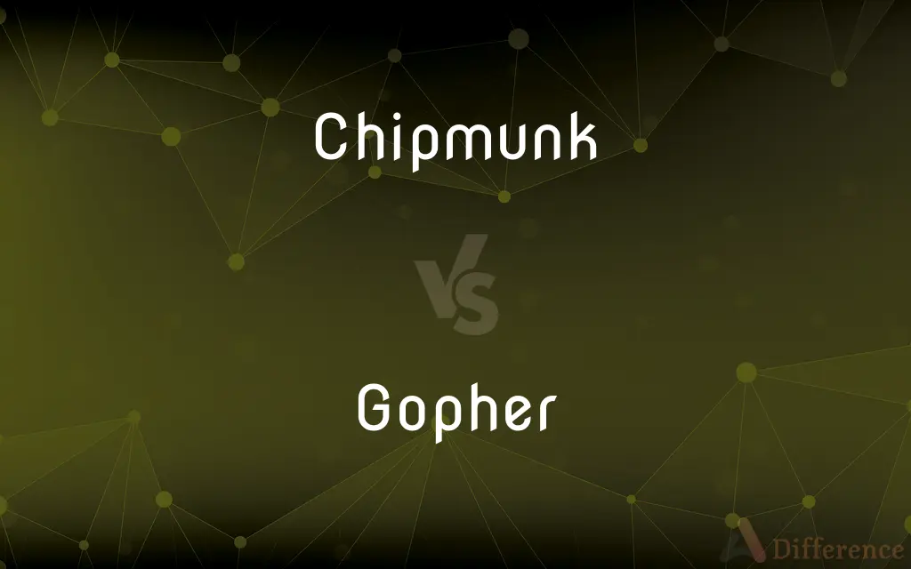 Chipmunk vs. Gopher — What's the Difference?