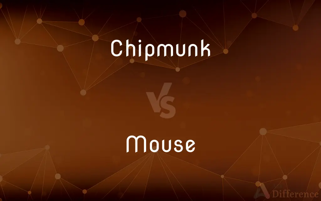 Chipmunk vs. Mouse — What's the Difference?