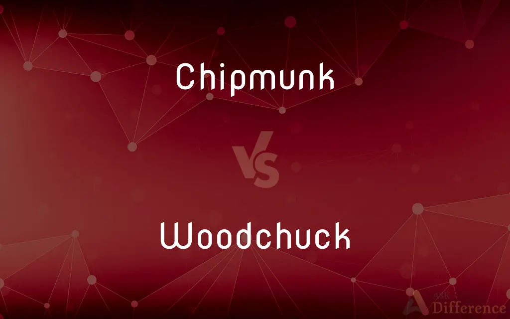 Chipmunk vs. Woodchuck — What's the Difference?