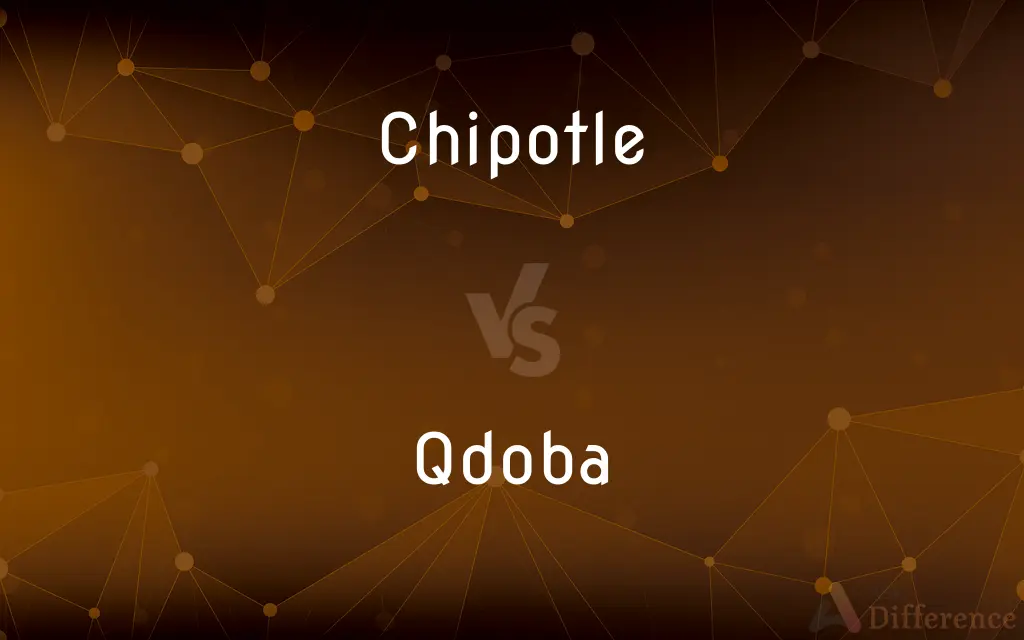 Chipotle vs. Qdoba — What's the Difference?