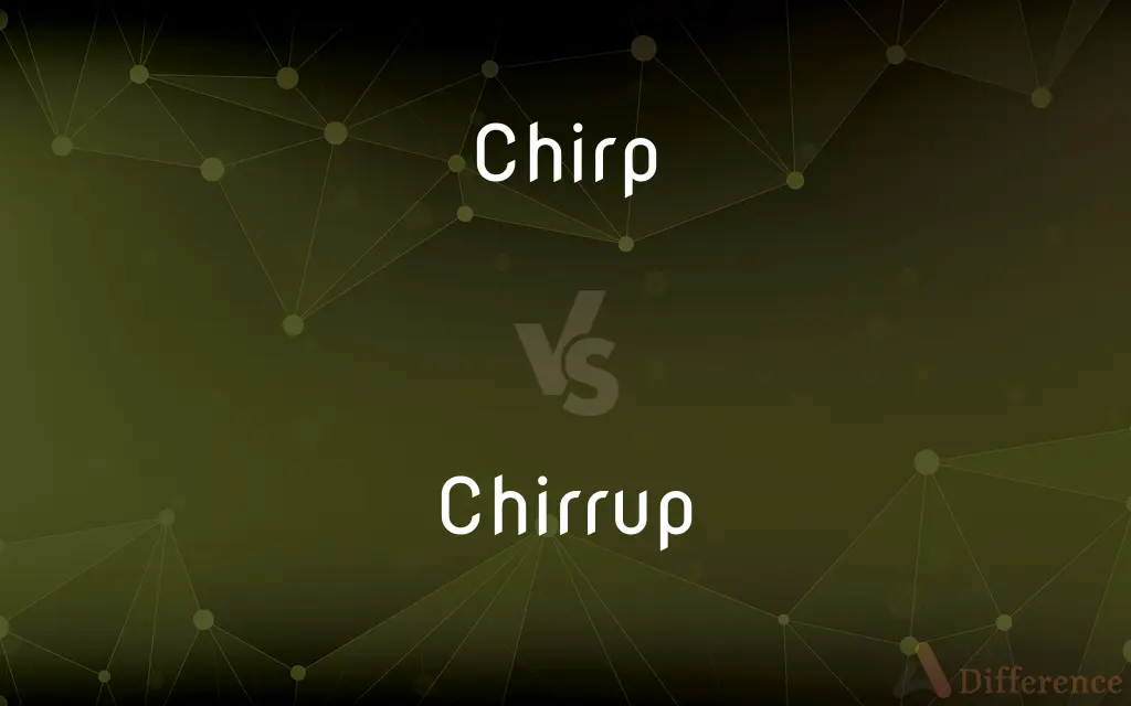 Chirp vs. Chirrup — What's the Difference?