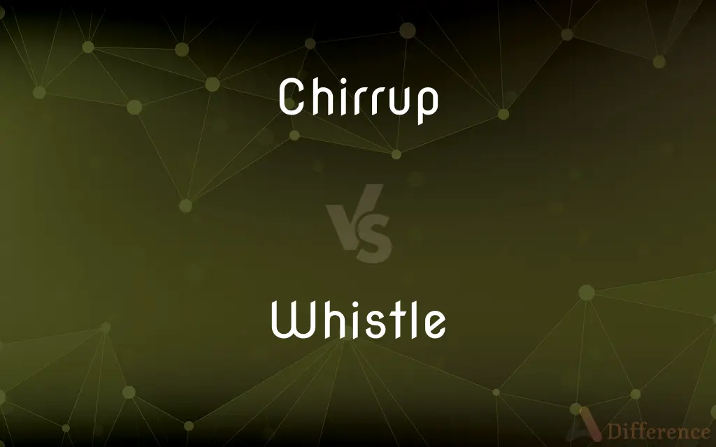 Chirrup vs. Whistle — What's the Difference?