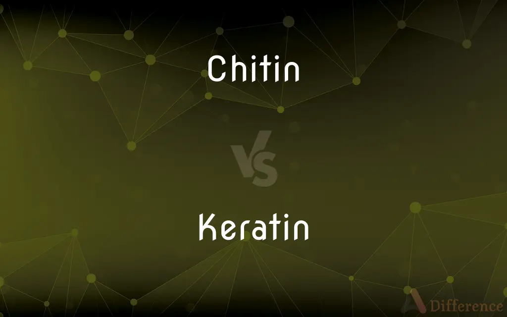Chitin vs. Keratin — What's the Difference?