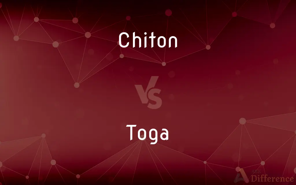 Chiton vs. Toga — What's the Difference?