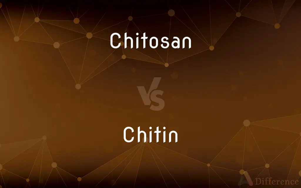 Chitosan vs. Chitin — What's the Difference?