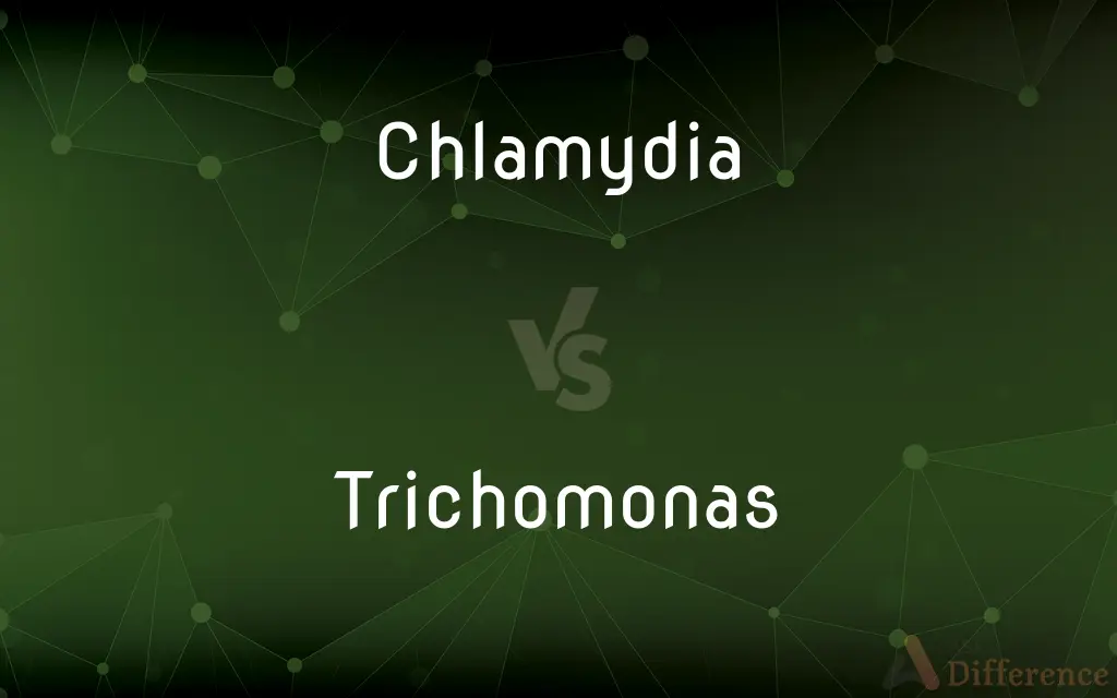 Chlamydia vs. Trichomonas — What's the Difference?