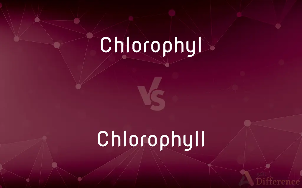 Chlorophyl vs. Chlorophyll — What's the Difference?