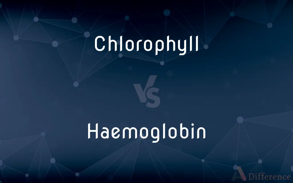 Chlorophyll vs. Haemoglobin — What's the Difference?